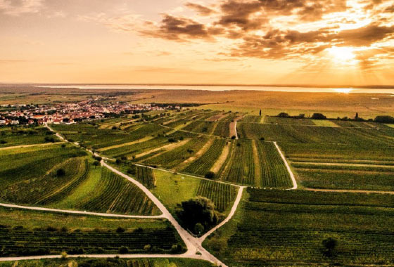 Bild Region Terroir