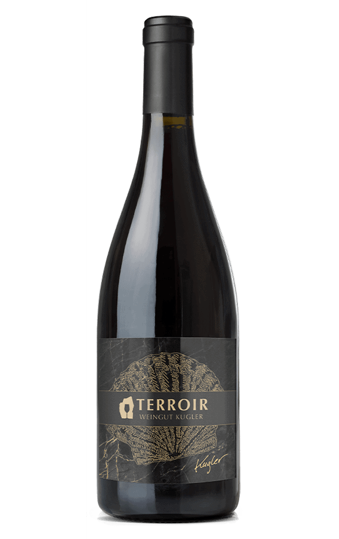 Flasche Blaufränkisch DAC – Fruchtiger, würziger Rotwein aus Österreich mit tiefdunkler Farbe